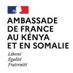 FrenchEmbassyKenya (@FranceinKenya) Twitter profile photo