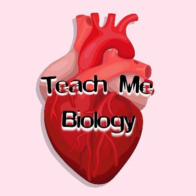 A revision podcast for A-Level Biology students

Hosted by @riariamatthews and Sarah Matthews

Listen on Apple & Google podcasts, Spotify & Amazon Music