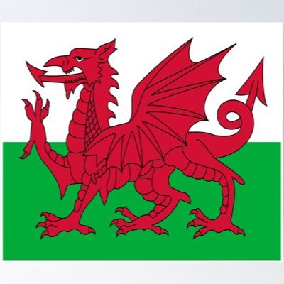 ShadowWales Profile Picture