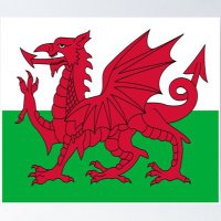 Shadow Wales Team (@shadowwales) 's Twitter Profile