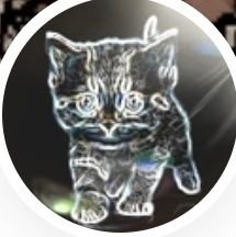 Owning Cat Elon Musk's NFT means you are increasing your income
Visit below 👇