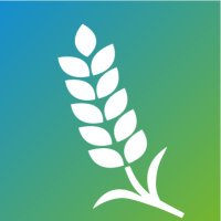 AHDB Cereals(@AHDB_Cereals) 's Twitter Profile Photo