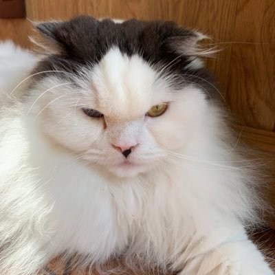 NrWxs's profile picture. 