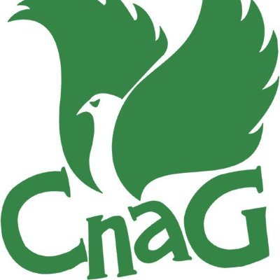 A’ cruthachadh cothroman dhan Ghàidhlig!
Creating opportunities for Gaelic! 🏴󠁧󠁢󠁳󠁣󠁴󠁿