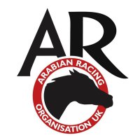 Arabian Racing Organisation(@ARO_Racing) 's Twitter Profileg