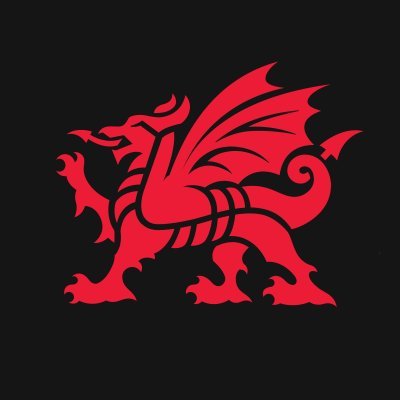 StudyWales Profile Picture