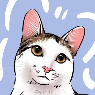 快來喵喵喵喵喵 喵電感應~麻糬(台語) AKA 阿吉、吉啊、吉2021.9.9 米克斯三花