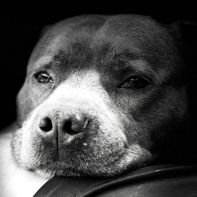 PerrettKeith's profile picture. Investor and overthinker.