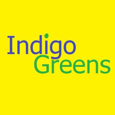 Indigo_Greens Profile Picture