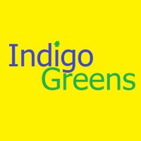 Indigo Greens(@Indigo_Greens) 's Twitter Profile Photo