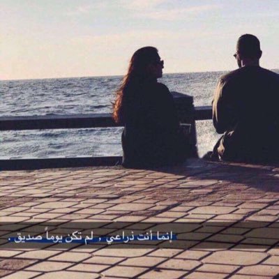 msql16's profile picture. ؟!