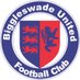 Biggleswade United (@Biggleswadeutd) Twitter profile photo