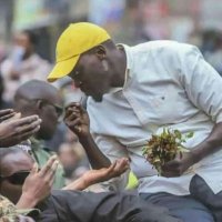 pop metto (@kenadoh5) 's Twitter Profile