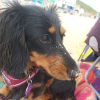 Zena Bewick (@zenabew) 's Twitter Profile
