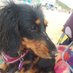 Zena Bewick (@zenabew) Twitter profile photo Zena Bewick (@zenabew) Twitter profile photo