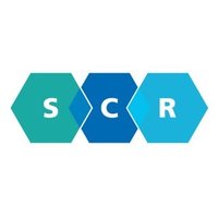 SomersetSCR (@somersetscr) 's Twitter Profile