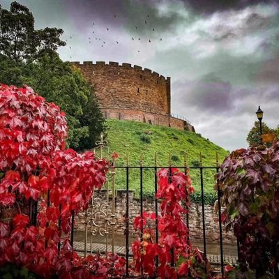 TamworthCastle Profile Picture