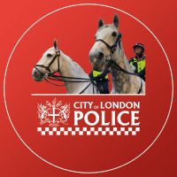 City Police Horses(@CityHorses) 's Twitter Profile Photo