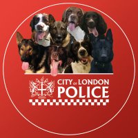 CityPoliceDogs(@CityPoliceDogs) 's Twitter Profile Photo
