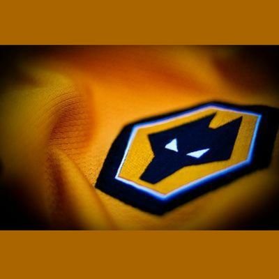 WolvesFirst Profile Picture