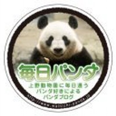 毎日パンダ Mainichipanda Twitter 毎日パンダ Mainichipanda Twitter