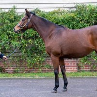 fittocksstud (@fittocksstud) 's Twitter Profile