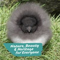 St Kilda World Heritage Site NTS (@stkildants) 's Twitter Profile Photo St Kilda World Heritage Site NTS (@stkildants) 's Twitter Profile Photo