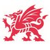 Travel Trade Wales (@VisitWalesTrade) Twitter profile photo