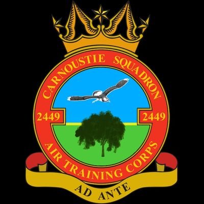 We are a unit within the RAF Air Cadets, a volunteer youth organisation sponsored by the Royal Air Force. It is open to all young people aged 12-17.