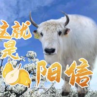 这就是阳信🇨🇳(💯互fo) (@zhjishyngxn2) 's Twitter Profile Photo 这就是阳信🇨🇳(💯互fo) (@zhjishyngxn2) 's Twitter Profile Photo