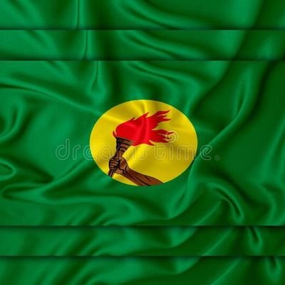 alvine_mungala's profile picture. là sagesse