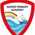 Napier Academy (@napiercpacademy) Twitter profile photo Napier Academy (@napiercpacademy) Twitter profile photo