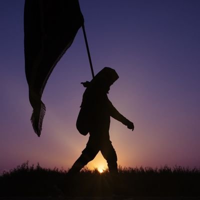 md95315086's profile picture. 