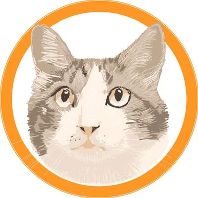 世界中の猫を撮る。［一般社団法人福岡ねこともの会］の保護猫・地域猫カレンダーの写真を撮影させていただいています。【STORES】https://t.co/aYEZHQ5s4d ねこともの会HP : https://t.co/PKiDYMnTYu。⇩インスタもよろしくお願いします⇩