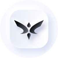 timo (@tlk_hh) 's Twitter Profile