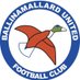 @Ballinamallard