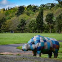 GoGlenrothes (@gglenrothes) 's Twitter Profile Photo GoGlenrothes (@gglenrothes) 's Twitter Profile Photo