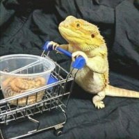 Vic Thor (@rasputotsuspes) 's Twitter Profile