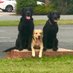 LFRS Fire Search and Rescue Dogs (@firesearchdogs) Twitter profile photo LFRS Fire Search and Rescue Dogs (@firesearchdogs) Twitter profile photo