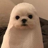 3 (@be8rr6y) 's Twitter Profile