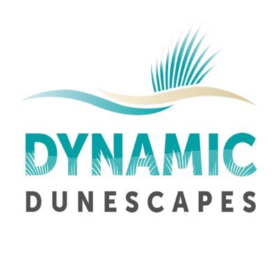 Dynamic Dunescapes