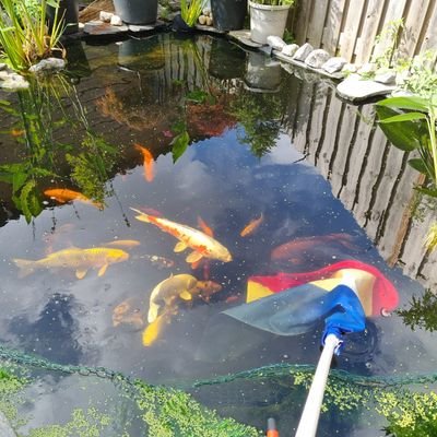 bigLooney5314's profile picture. 
