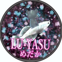 ヤス (@lu_yasu_medaka) 's Twitter Profile Photo ヤス (@lu_yasu_medaka) 's Twitter Profile Photo