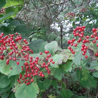 WlPWTcPqLGhH1Gw's profile picture. 