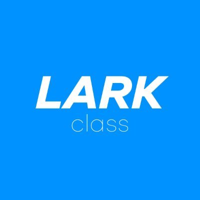 larksailing Profile Picture