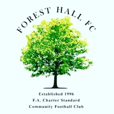 Official X account of Forest Hall Celtic FC - Members of the Northern Football Alliance League. #upthehall 🌳🔴