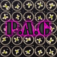 Laitinengroup (@paghelsinki) Twitter profile photo