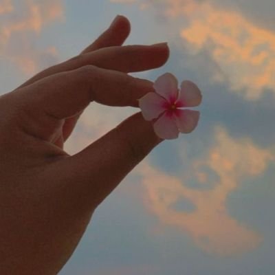 iqrazain03's profile picture. Leaving a bit of sparkle everywhere I go ✨