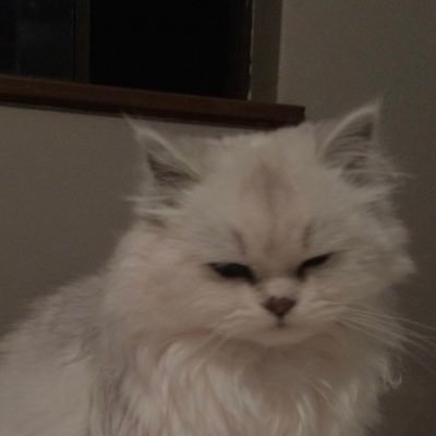 kegosuuuu___'s profile picture. 若干日常