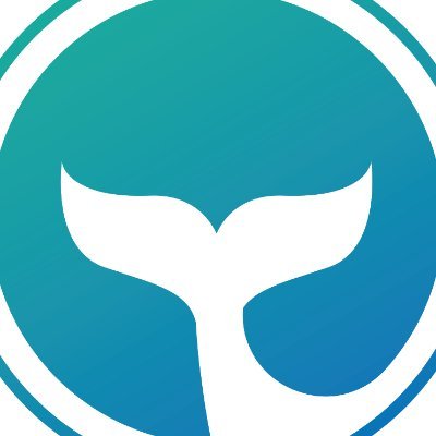 CEO @Baleinefr ;
Acheter des cryptos 👉 https://t.co/vZPfug0rBu
https://t.co/9CiKsYKO5v